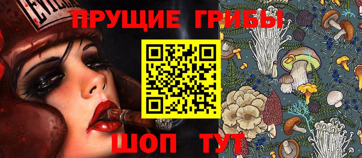 Псилоцибиновые грибы ЛСД Тихвин
