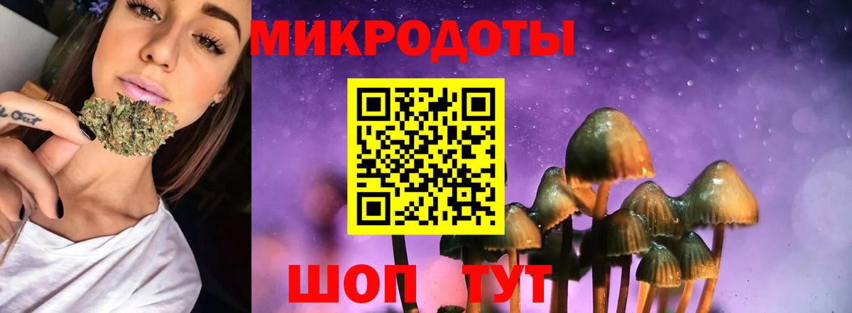Тихвин  Псилоцибиновые грибы Magic Shrooms  Вход с VPN 